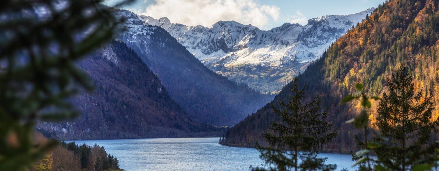 Arbeiten & Ausbilden